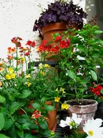 IMG_4408.webp