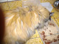 IMGP0566.webp