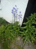 2013-06-15 13.18.18.webp