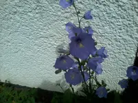 2013-06-15 13.18.24.webp