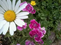 2013-06-15 13.19.32.webp