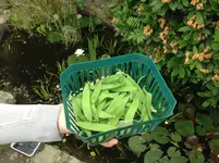 Bild 202.webp
