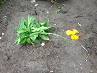Bild 194.webp