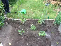 Bild 205.webp