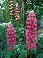 Farbe7.webp
