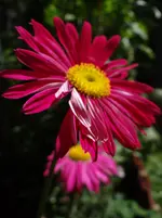 Farbe8.webp