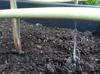 Wasser Marsch.webp