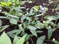 Foto (13).webp