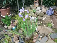 1306140003.webp