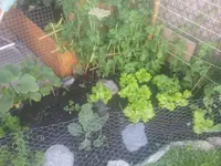 20130617_092053.webp