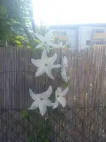 20130617_092100.webp