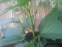 20130617_092507.webp