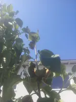20130617_092153.webp