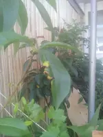 20130617_092350.webp
