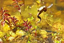 und erwischt_1024.webp