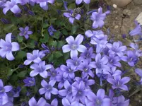 CIMG6194.webp