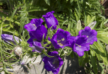 IMG_1759.webp