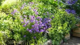 DSCN4928.webp