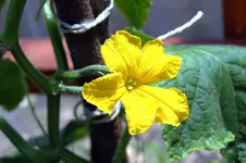 DSC_7328.webp