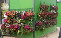 Hängegarten.webp