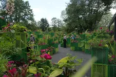 Kistengarten.webp
