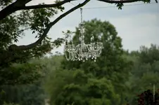 Kronleuchter über Allium.webp