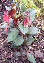 20130614_144950.webp