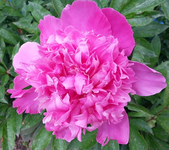 20130614_145054.webp
