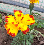 20130614_145147.webp