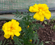 20130614_145150.webp