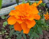 20130614_145156.webp