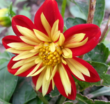 20130614_145325.webp