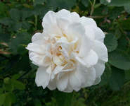 20130614_145420.webp