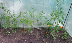 20130614_145141.webp