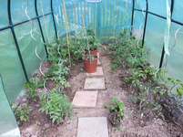20130614_145223.webp