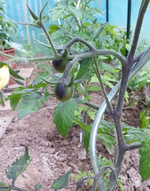 20130614_145232.webp