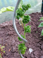 20130616_102752.webp