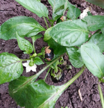 20130616_102812.webp