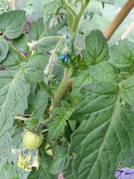 20130616_102833.webp