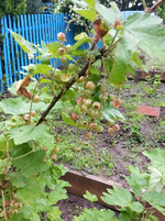 20130616_102922.webp