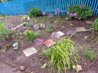 20130616_104155.webp
