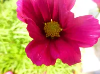 P1060580.webp