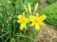 CIMG5710.webp