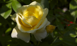 IMG_1816.webp