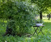 IMG_1870.webp
