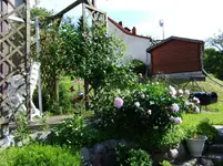DSCF0096_40_1.webp