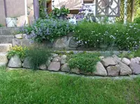 DSCF0070_13_1.webp