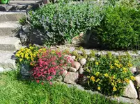 DSCF0076_18_1.webp