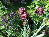 DSCF0058_1_1.webp
