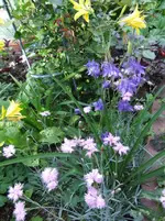 DSCF0065_r1_8_1.webp